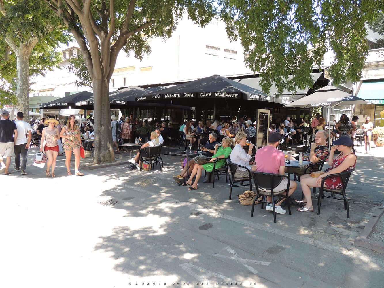 2022 07 UN AIR DE VACANCES 16 DU COTE D ARLES (15).JPG -           